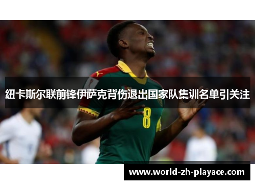 纽卡斯尔联前锋伊萨克背伤退出国家队集训名单引关注 纽卡斯尔联前锋伊萨克背伤退出国家队集训名单引关注